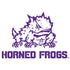 Horned Frogs TCU Xbox Series X Bundle Skin