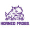 Horned Frogs TCU Playstation 3 & PS3 Slim Skin