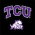 TCU Horned Frogs Logo Xbox Series X Bundle Skin