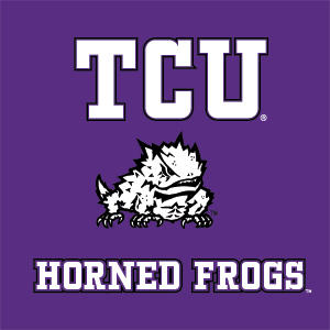 Texas Christian University Mascot Nintendo 2DS XL (2017) Skin