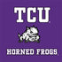 Texas Christian University Mascot Xbox Series X Bundle Skin