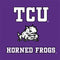 Texas Christian University Mascot Xbox 360 Slim (2010) Skin