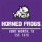 Horned Frogs Fort Worth Xbox 360 Slim (2010) Skin
