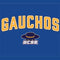 University of California-Santa Barbara Gauchos Studio Wireless Skin