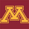 University of Minnesota M Logo Nintendo 2DS XL (2017) Skin