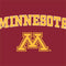 University of Minnesota Collegiate Text Nintendo 2DS XL (2017) Skin