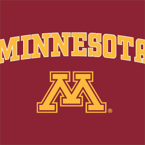 University of Minnesota Collegiate Text Xbox Series X Bundle Skin