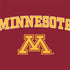 University of Minnesota Collegiate Text Xbox Series X Bundle Skin