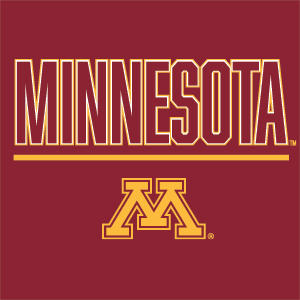 University of Minnesota Athletic Text Studio Wireless Skin