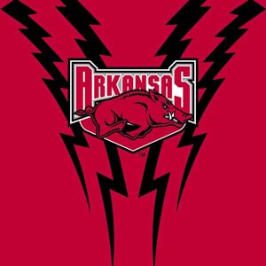 University of Arkansas-Fayetteville Razorbacks Yoga 710 14in Skin