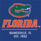 University of Florida Gainesville Est 1853 Blue Nintendo 2DS XL (2017) Skin