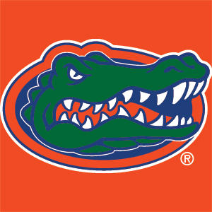 University of Florida Gators Mascot Nintendo 2DS XL (2017) Skin