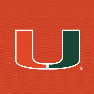 University of Miami Hurricanes Jersey Wii (Includes 1 Controller) Skin