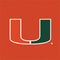 University of Miami Hurricanes Jersey Wii (Includes 1 Controller) Skin