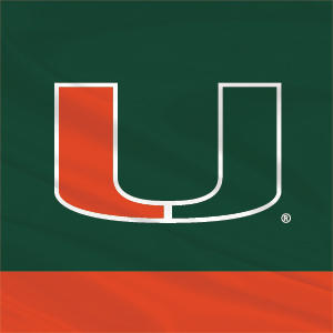 University of Miami Hurricanes Flag Studio Wireless Skin
