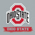 Ohio State University Distressed Logo iPhone XS Clear Case