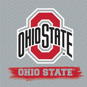 Ohio State University Distressed Logo Playstation 3 & PS3 Skin