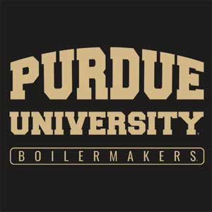 Purdue University Purdue University Boilermakers Bold Fire TV Cube Skin