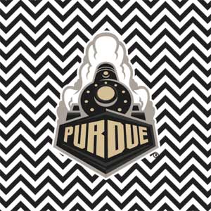 Purdue University Purdue Chevron Fire TV Cube Skin