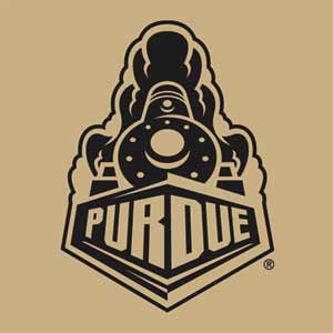 Purdue University Purdue Gold Signature Logo Apple AirPods 2 Skin