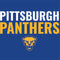 University of Pittsburgh Panthers Studio Wireless Skin