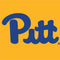University of Pittsburgh Pitt Panthers Yellow Xbox 360 Slim (2010) Skin