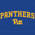University of Pittsburgh Panthers Pitt Xbox Series X Bundle Skin