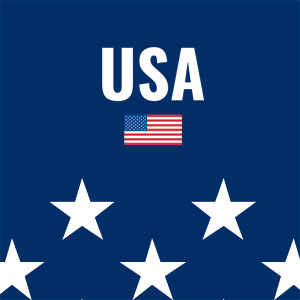 USA Flag Stars Xbox Adaptive Controller Skin