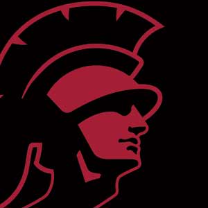 University of Southern California USC Trojan Mascot Beats Solo 2 Wired Skin