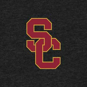 University of Southern California USC Grey Logo Apple AirPods 2 Skin