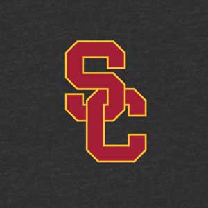 University of Southern California USC Dark Grey Logo DS Lite Skin
