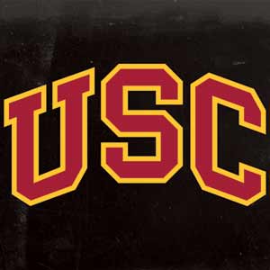 University of Southern California USC Logo Black Distressed Fire TV Cube Skin