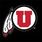 Utah Circle and Feather on Black Asus X202 Skin