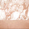 White Rose Gold Marble Wii (Includes 1 Controller) Skin