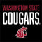 Cougars Washington State Xbox 360 Slim (2010) Skin