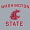 Washington State Xbox 360 Slim (2010) Skin