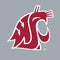 Washington State University WSU Cougars MacBook Air 13in M1 (2021) Case plus Skin
