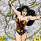 DC Comics Wonder Woman Classic Action Pose Wii (Includes 1 Controller) Skin