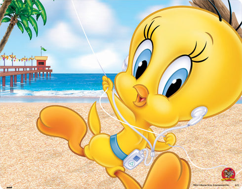 Looney Tunes Tweety Bird Ipod Meta Quest 3 Skin