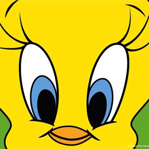 Looney Tunes Tweety Bird Zoomed In Galaxy S9 Skin