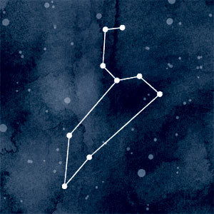 Leo Constellation Bose SoundLink Mini Speaker II Skin