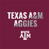 Texas A&M University Aggies Nintendo 2DS XL (2017) Skin