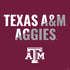Texas A&M University Aggies PS4 Slim Skin