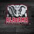 University of Alabama Basketball Wood iPhone X Skin