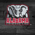 University of Alabama Basketball Wood iPhone XR Pro Case