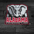 University of Alabama Basketball Wood iPhone XS Pro Case