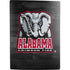 University of Alabama Basketball Wood PS5 Digital Edition Bundle Skin