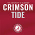 University of Alabama Crimson Pride Nintendo 2DS XL (2017) Skin