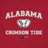 University of Alabama Crimson Tide Basketball iPhone XR Pro Case
