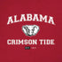 University of Alabama Crimson Tide Basketball iPhone XR Skin